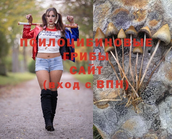 прущие крисы Переславль-Залесский