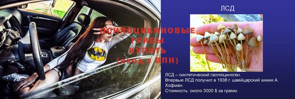 герыч Каменногорск