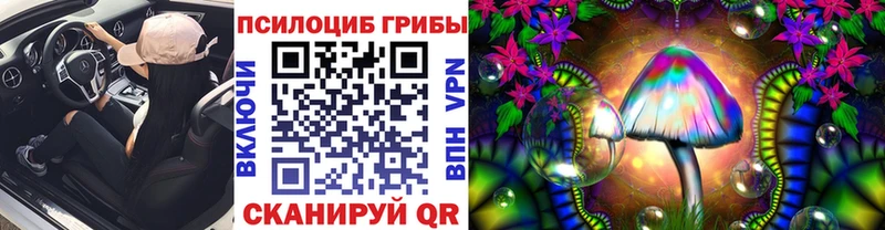 Галлюциногенные грибы прущие грибы  Родники 