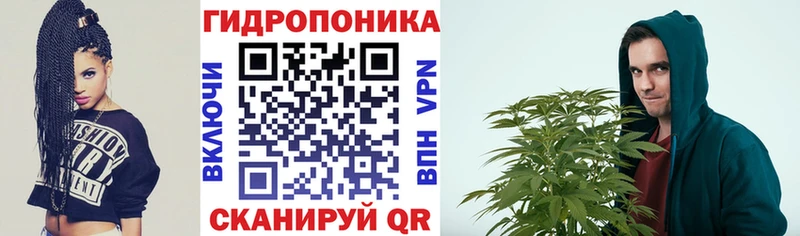 Бошки Шишки Amnesia  Родники 